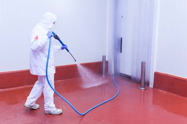Best Building Exterior Washing  in Odessa, TX
